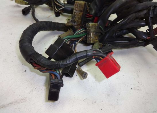 Wire Harness Honda Goldwing GL