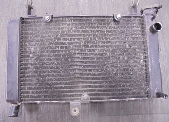 Kuhler Yamaha FZR 600