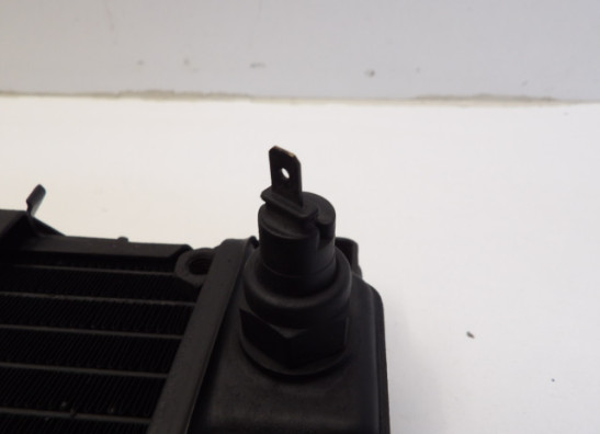 Radiator Honda VT 1100