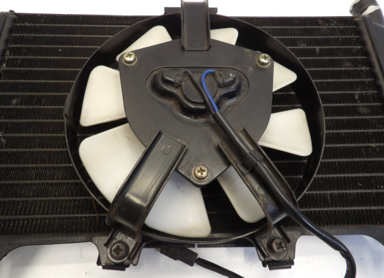 Radiateur Kawasaki ZZR 600