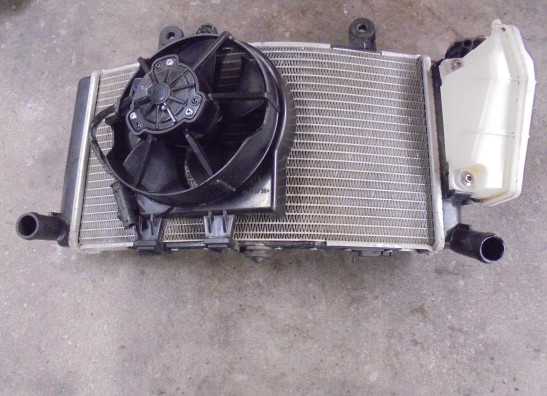 Radiateur BMW F 850 GS