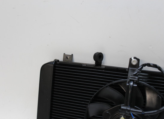 Radiateur Kawasaki Z 900