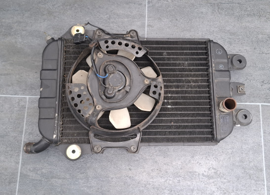 Radiateur Kawasaki VN 700  750