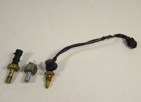 Sensor - Elektronik Triumph Tiger 1050