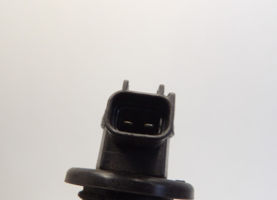 Bobine Triumph Sprint ST 1050