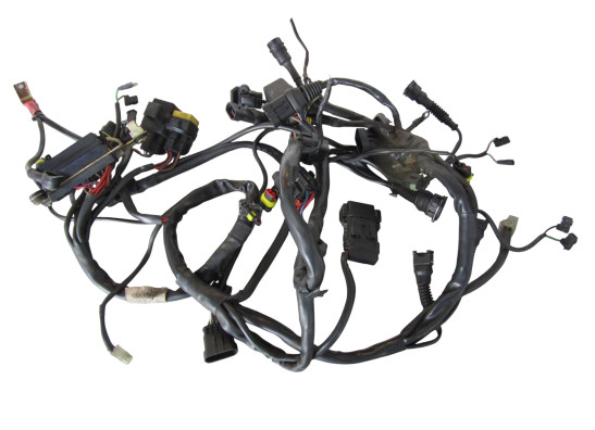 Wire Harness Ducati monster 900