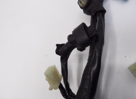 Kabelboom Honda CBR 600 F