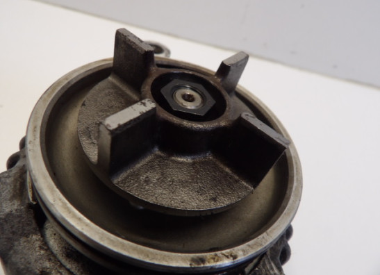 Dynamo Kawasaki ZX 7 R