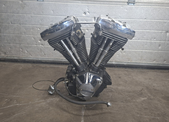 Motorblok Harley Davidson Softtail