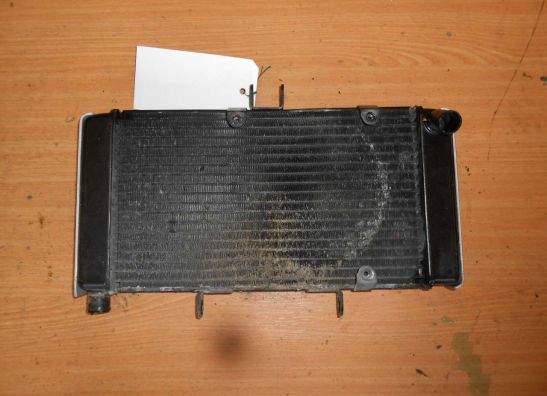 Radiator Suzuki GSF 400 Bandit