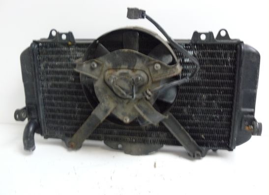 Kuhler Yamaha FZR 600