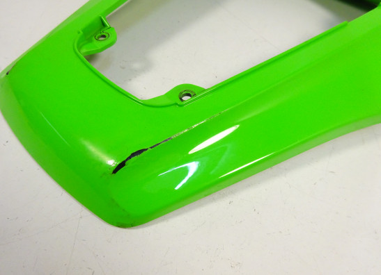 Heck Kawasaki ZX 10 R