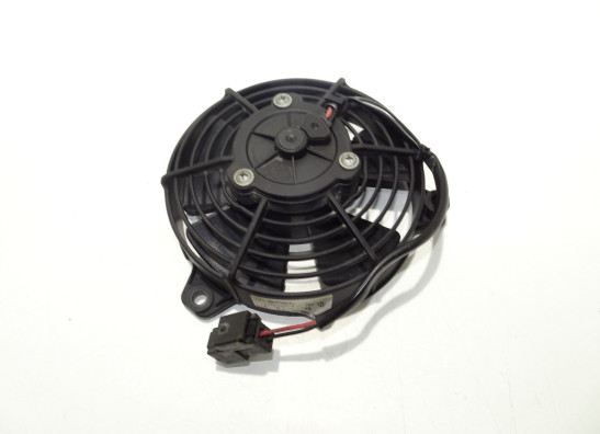 Fan KTM 990 Adventure