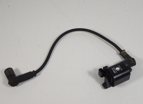Bobine Ducati Monster 695 2006-2008