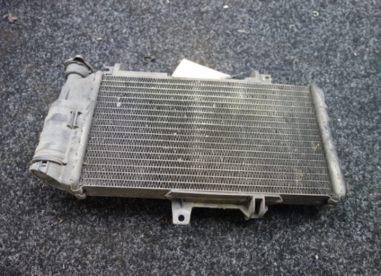 Radiator BMW F 800 S - ST