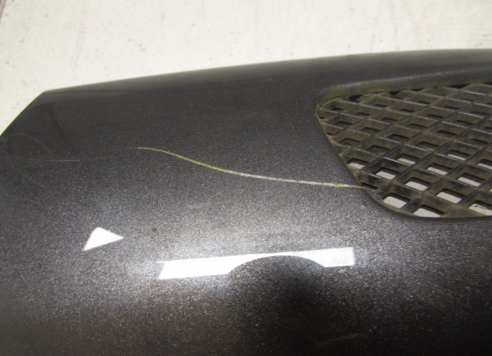 Heck links Honda CBR 1000 F