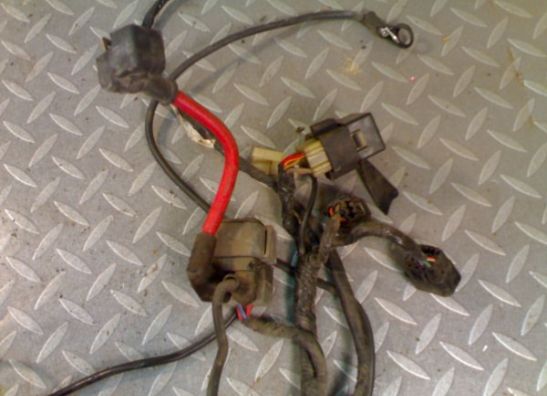 Wire Harness Yamaha FZR 600