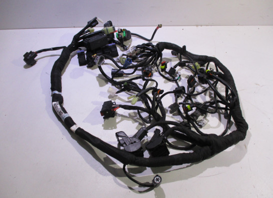 Wire Harness KTM 790 Duke