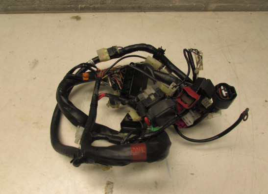 Kabelbaum Yamaha FAZER 600