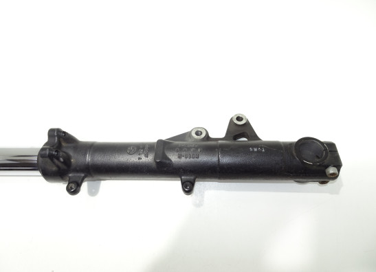 Standrohr Gabelholm rechts komplett BMW F 800 R