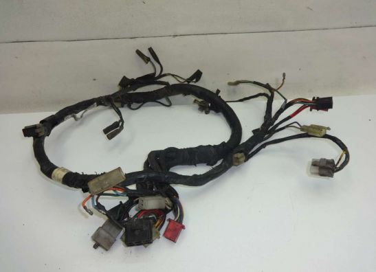 Wire Harness Honda CBX 550 F2