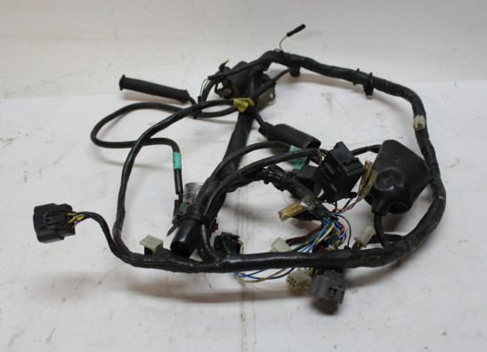 Kabelboom Honda CBF 250