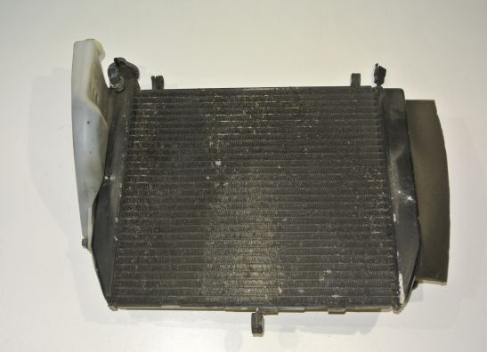 Radiator Yamaha YZF R1