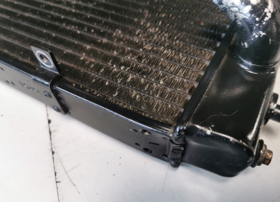 Kuhler Aprilia RSV 1000