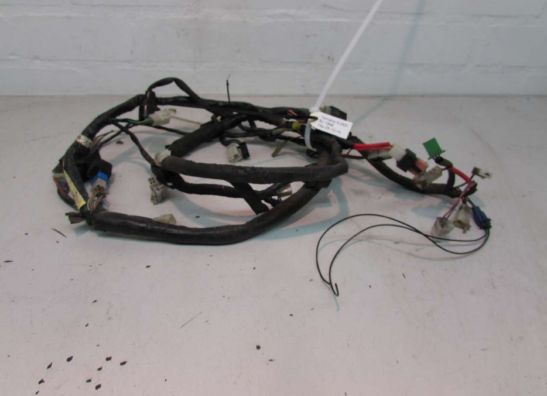 Wire Harness Yamaha XJ 900 S Diversion