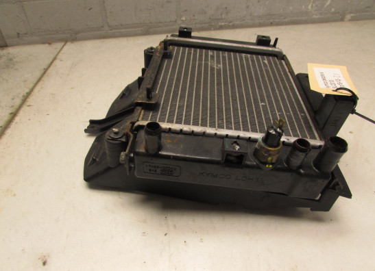 Kuhler Kymco People S 300i