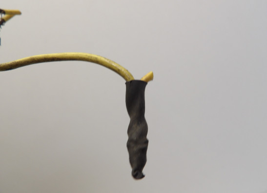 Relais unit Suzuki Gv 1400 cavalcade