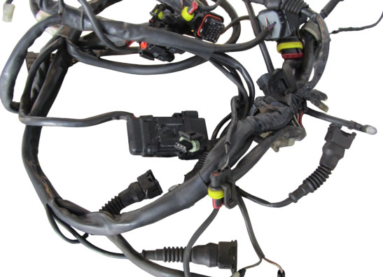 Kabelboom Ducati monster 900