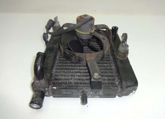 Kuhler Yamaha YP 250 Majesty