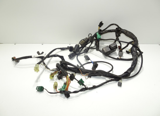 Kabelboom Suzuki DL 1000 V STROM