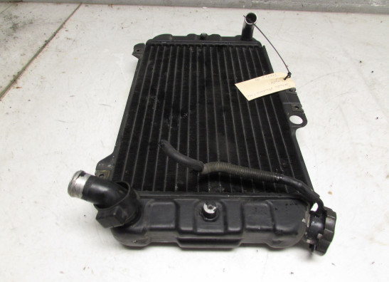 Radiator Suzuki Madura 1200