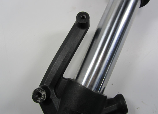 Standrohr Gabelholm links komplett Kawasaki Z 1000