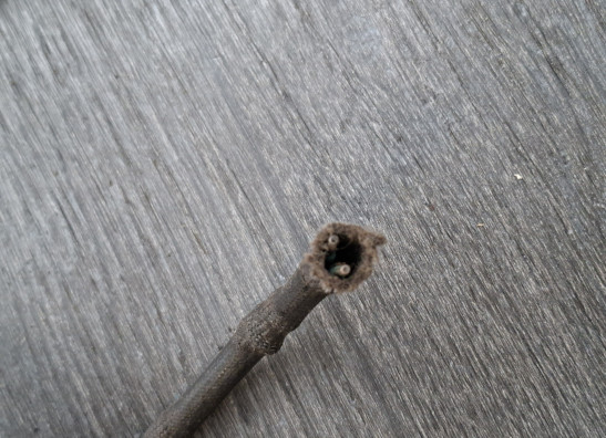 Dynamo Kawasaki KZ 900