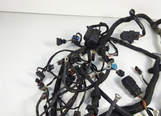 Kabelbaum BMW K 1200 R 