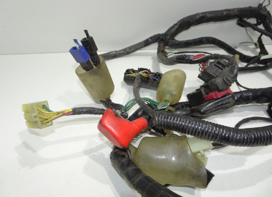 Wire Harness Honda XL 1000 V Varadero