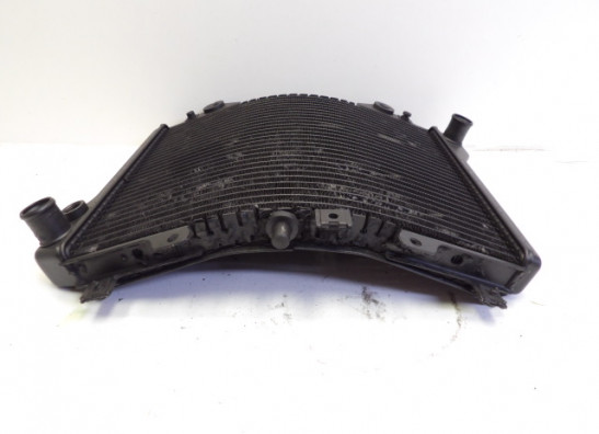 Kuhler Kawasaki ZZR 1100