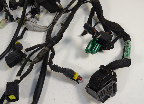 Wire Harness Ducati monster 696