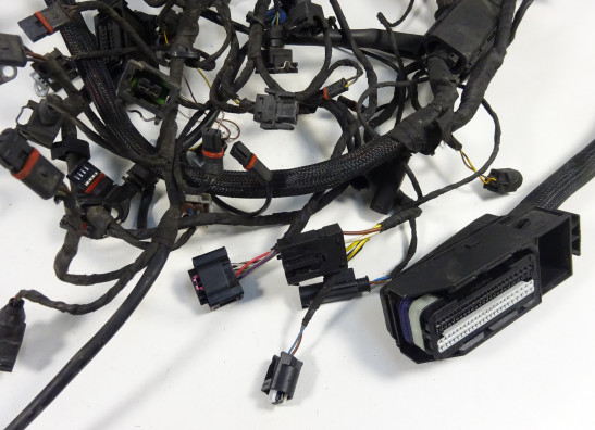 Kabelboom BMW K 1200 S 