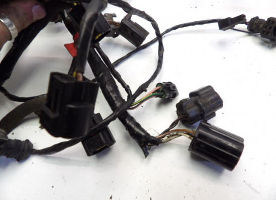 Kabelbaum Triumph Sprint RS