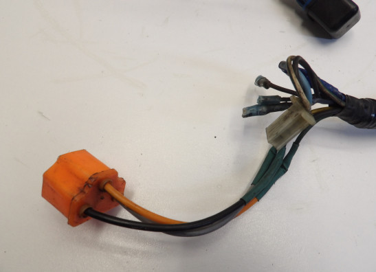 Wire Harness Yamaha V max
