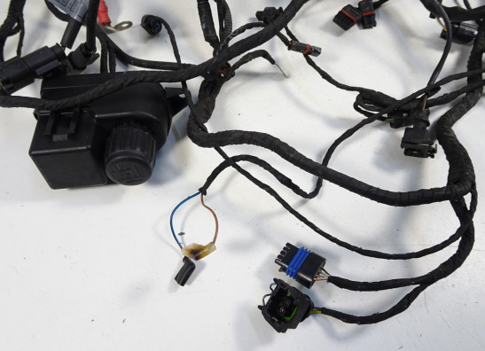 Kabelbaum BMW R 1200 RT