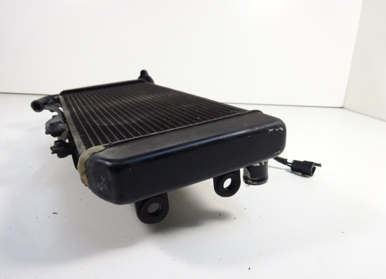 Radiator Kawasaki VERSYS 650