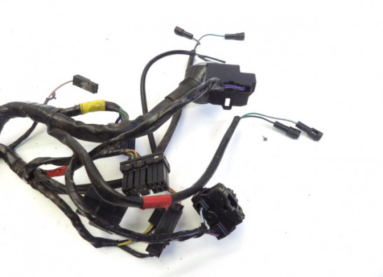 Kabelboom Triumph Sprint RS