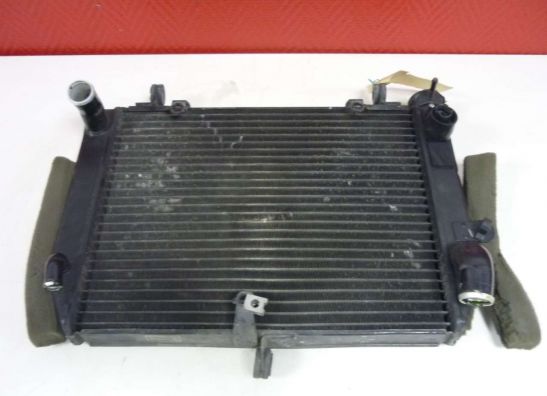 Radiateur Yamaha YZF R6
