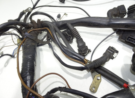 Wire Harness BMW R 1100  1150 RS