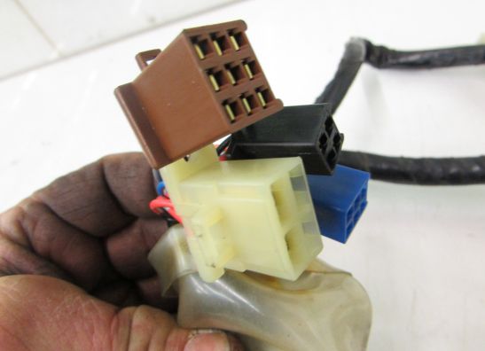 Wire Harness Honda CBF 600